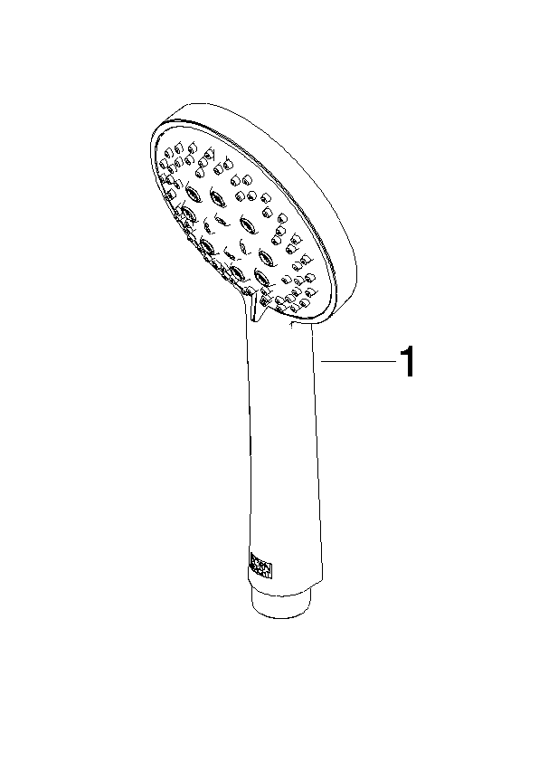 Obrázek DORNBRACHT ruční sprcha #28018979-00 - chrom