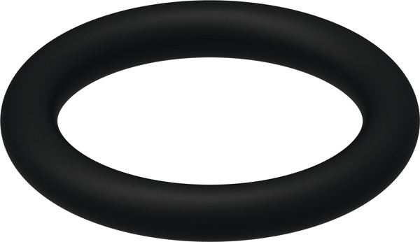 Obrázek TECE spare part O-ring #9820025